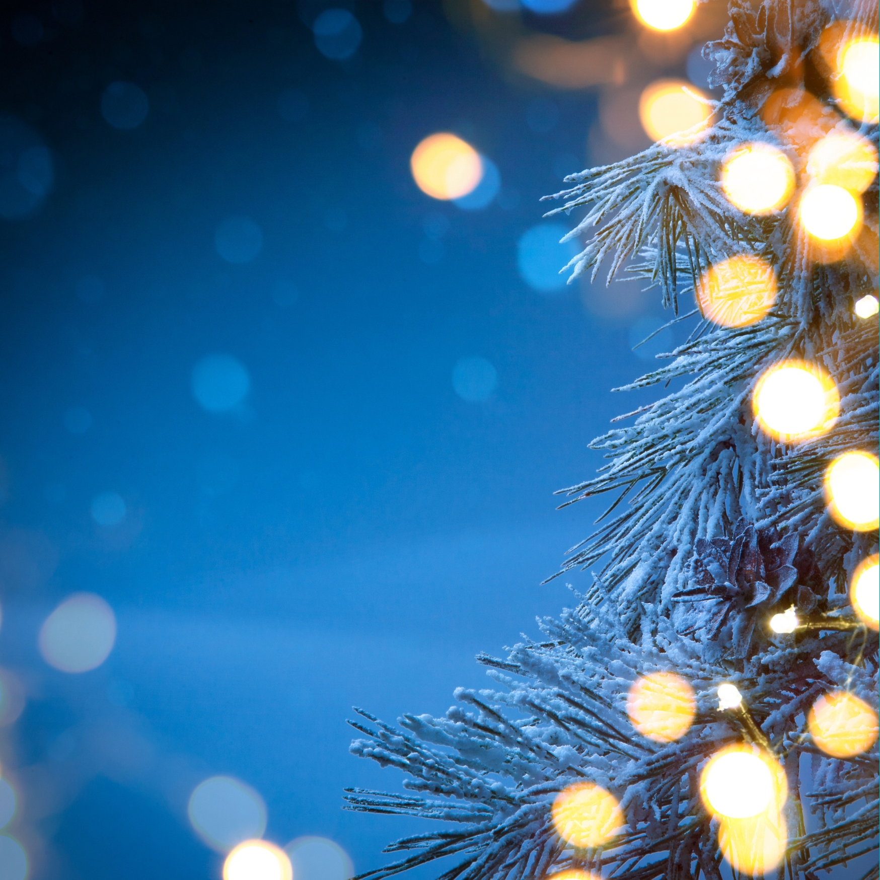 Christmas 2024 Grace Church Brockley